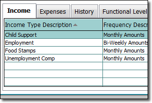 ORS income and Expenses